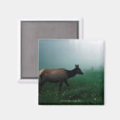 24121885 MAGNET (Vorderseite/Rückseite)