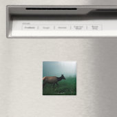 24121885 MAGNET (In Situ (Geschirrspüler))