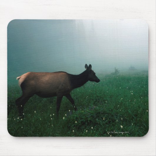 24121885 MOUSEPAD (Vorne)