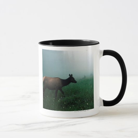 24121885 TASSE (Rechts)