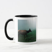 24121885 TASSE (Links)