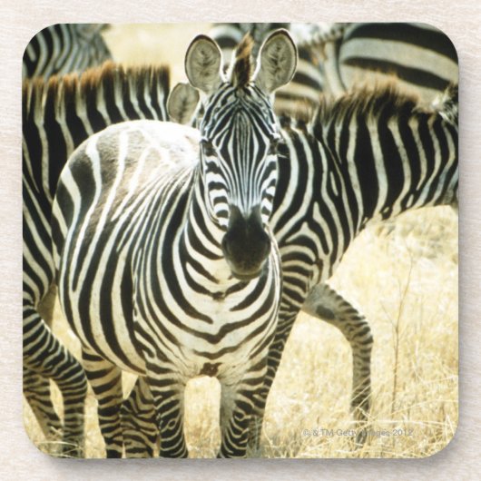 24123844 GETRÄNKEUNTERSETZER (Vorderseite)