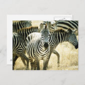 24123844 POSTKARTE (Vorne/Hinten)