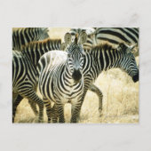 24123844 POSTKARTE (Vorderseite)