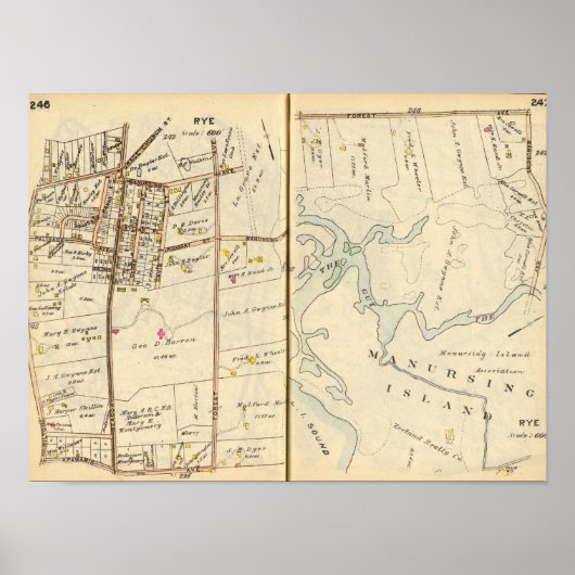 246247 Roggen Poster (Vorne)