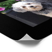 24 BildvorlagenCollage mit benutzerdefiniertem Tex Poster (Ecke)