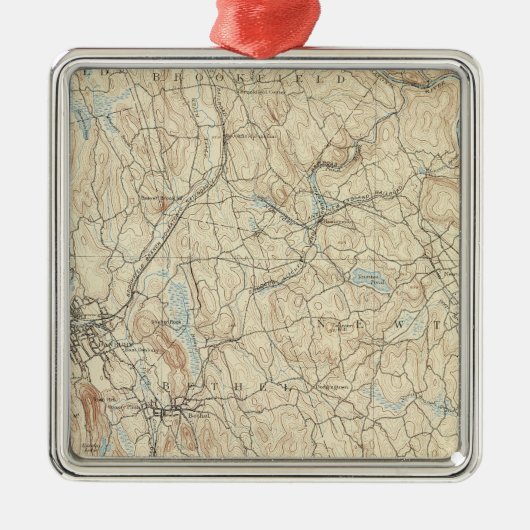 24 Danbury-Blatt Silbernes Ornament (Vorne)