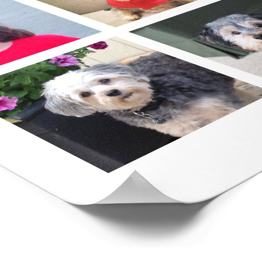 24 FotoCollage mit Familienname Datum - weiß Poster (Ecke)