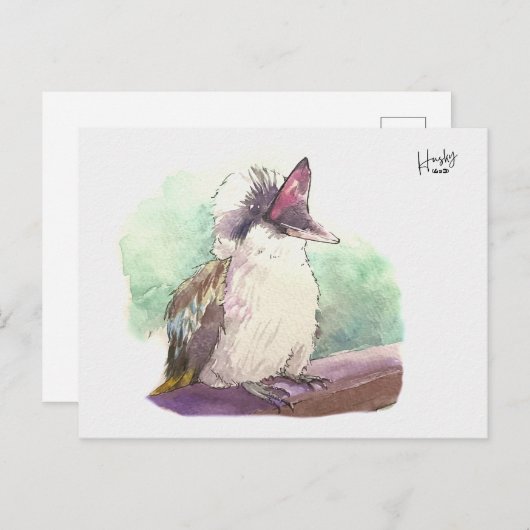 24 : Kookaburra Postkarte (Vorne/Hinten)