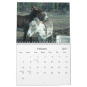 24-monatiger Darling Donkey-Kalender Kalender (Feb 2027)