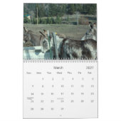 24-monatiger Darling Donkey-Kalender Kalender (Mär 2027)