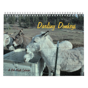 24-monatiger Darling Donkey-Kalender Kalender