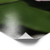 24"x24" Rosa Peony Fotodruck (Ecke)