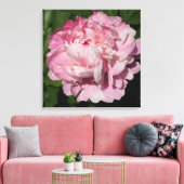 24"x24" Rosa Peony Leinwanddruck (Insitu (Wohnzimmer))