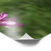 24"x36" Rotbudenbaum Fotodruck (Ecke)