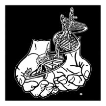 24" x 24", schwarzes werteposterpapier (Matte)