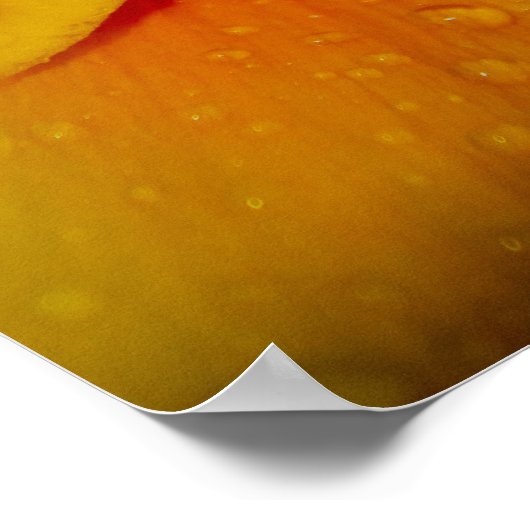 24" x 24", Value Poster Paper (Matte) (Ecke)