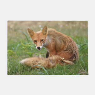 24" x 36" Door Mat von Fuchs Fußmatte