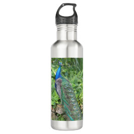 24oz Edelstahlflorida Pfau Wasserflasche Edelstahlflasche