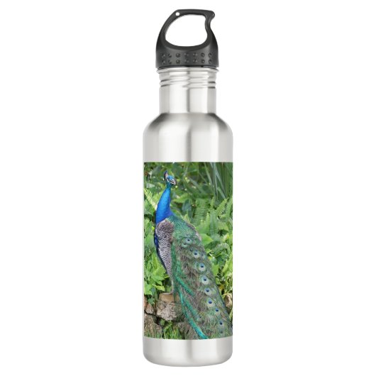 24oz Edelstahlflorida Pfau Wasserflasche Edelstahlflasche (Vorderseite)