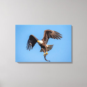 24x16 Adler mit Fisch Leinwanddruck
