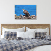 24x16 Osprey auf den Felsen Leinwanddruck (Insitu (Schlafzimmer))