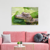 24x16 Young Alligator Leinwanddruck (Insitu (Wohnzimmer))
