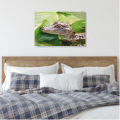 24x16 Young Alligator Leinwanddruck (Insitu (Schlafzimmer))
