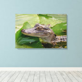 24x16 Young Alligator Leinwanddruck (Insitu (Holzboden))