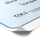 24x18 Canine Anatomie Poster (Ecke)