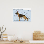 24x18 Canine Anatomie Poster (Küche)