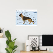 24x18 Canine Anatomie Poster (Heimbüro)