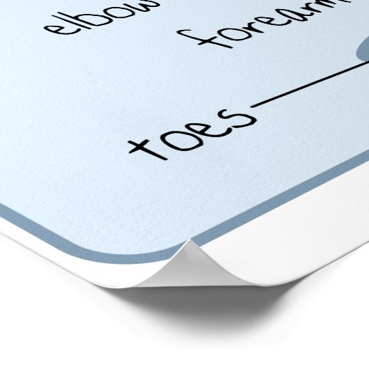 24x18 Canine Anatomie Poster (Ecke)