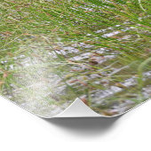 24x18 Satin Foto Elch (Ecke)