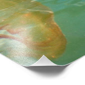 24X18 Seeschwalbe Fotodruck (Ecke)