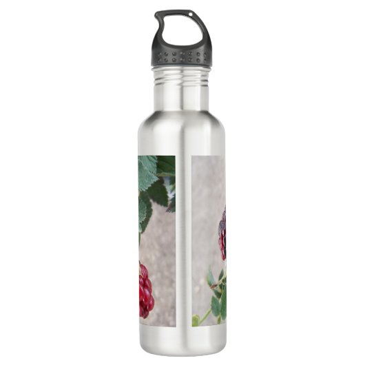 2502 BlackBerry Edelstahlflasche (Rückseite)