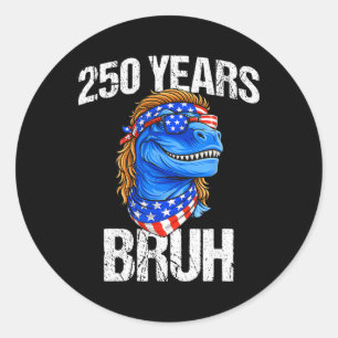 250 Jahre Bruh 4. Juli Trex Dinosaurier 250. Jubil Runder Aufkleber