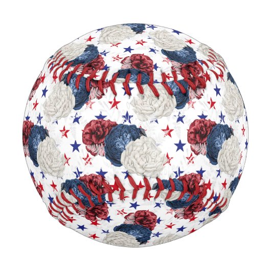 250 Jahre Wir, das Volk Baseball (Vorderseite)