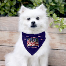 250. Jubiläum USA Patriotic Flags Paper