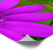 257153 HELLE, FARBHAFTE BLUME - HINTERGRUND P POSTER (Ecke)