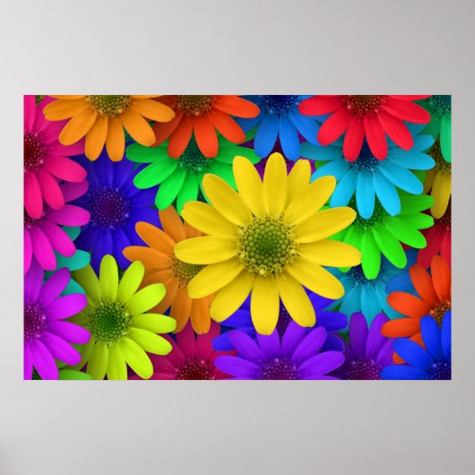 257153 HELLE, FARBHAFTE BLUME - HINTERGRUND P POSTER (Vorne)