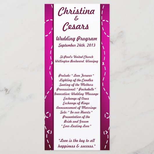 25 4x9 Hochzeitskalender Flugzeug Lila Loop Pur Programm (Vorderseite)