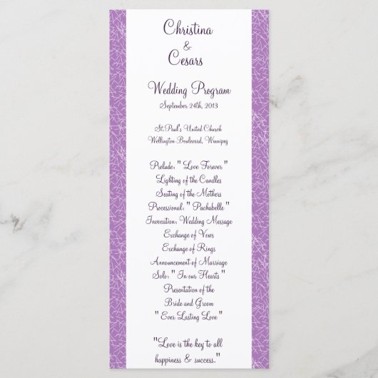 25 4x9 Hochzeitsprogramm Bird Swing Lila BG Herzen Programm (Vorderseite)