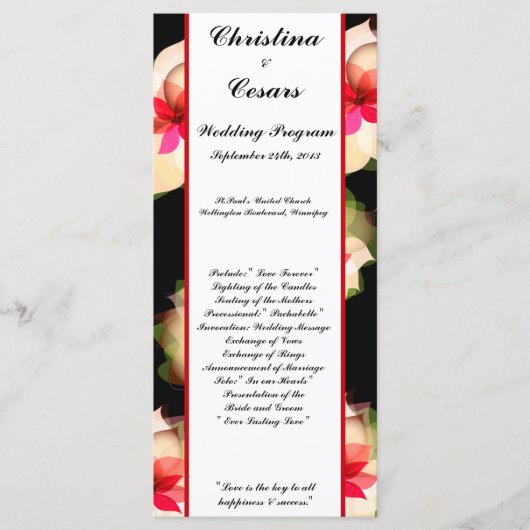 25 4x9 Hochzeitsprogramm Farbenfrohe Lotus Blume s Programm (Vorderseite)