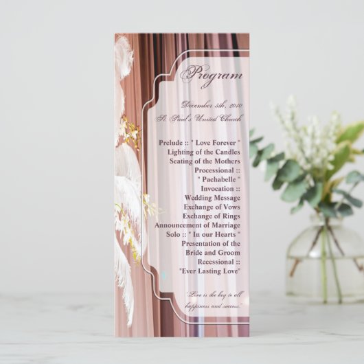25 4x9 Hochzeitsprogramm Feather Centre Piece Glam Programm (Stehend Vorderseite)