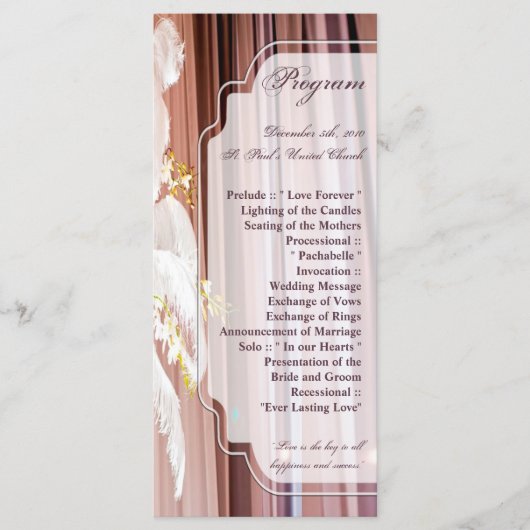 25 4x9 Hochzeitsprogramm Feather Centre Piece Glam Programm (Vorderseite)