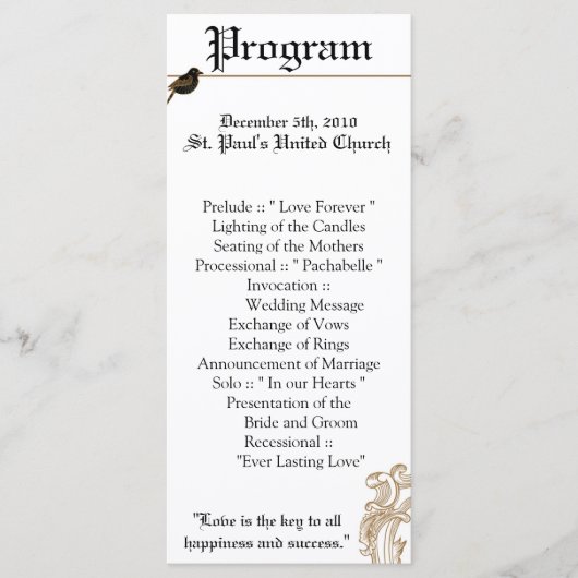 25 4x9 Hochzeitsprogramm Formal Love Birds Taube Programm (Vorderseite)