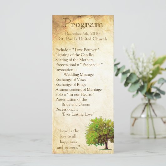 25 4x9 Hochzeitsprogramm Frühjahrsprogrammen Gestr Programm (Stehend Vorderseite)