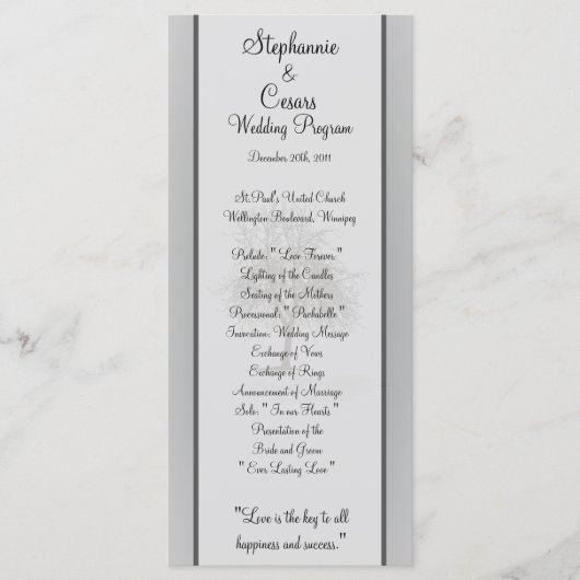 25 4x9 Hochzeitsprogramm Grau Winter Trees Snow Ba Programm (Vorderseite)