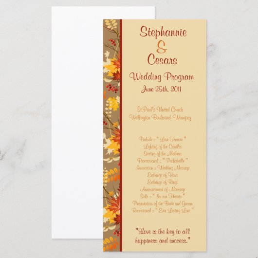 25 4x9 Hochzeitsprogramm Herbstzweige Blätter Programm (Vorne/Hinten)